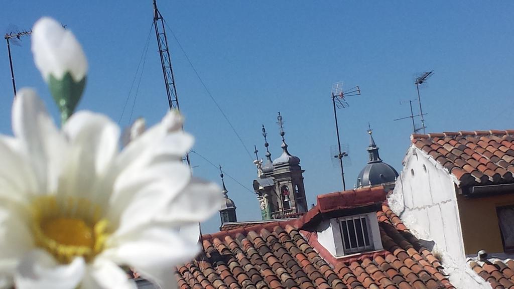Palacio Real Iii